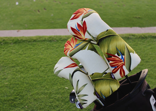 Birds of Paradise Set