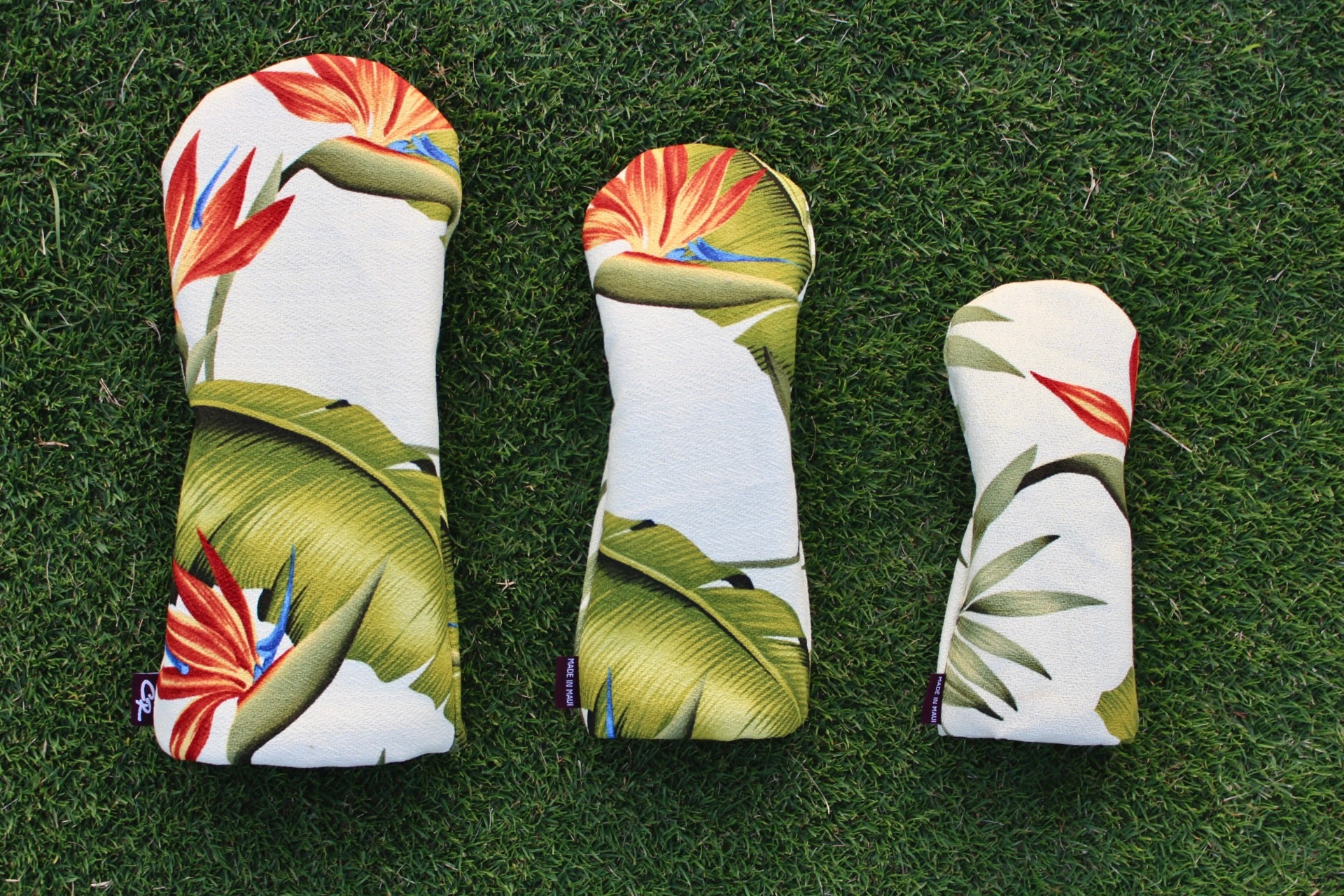 Birds of Paradise Set