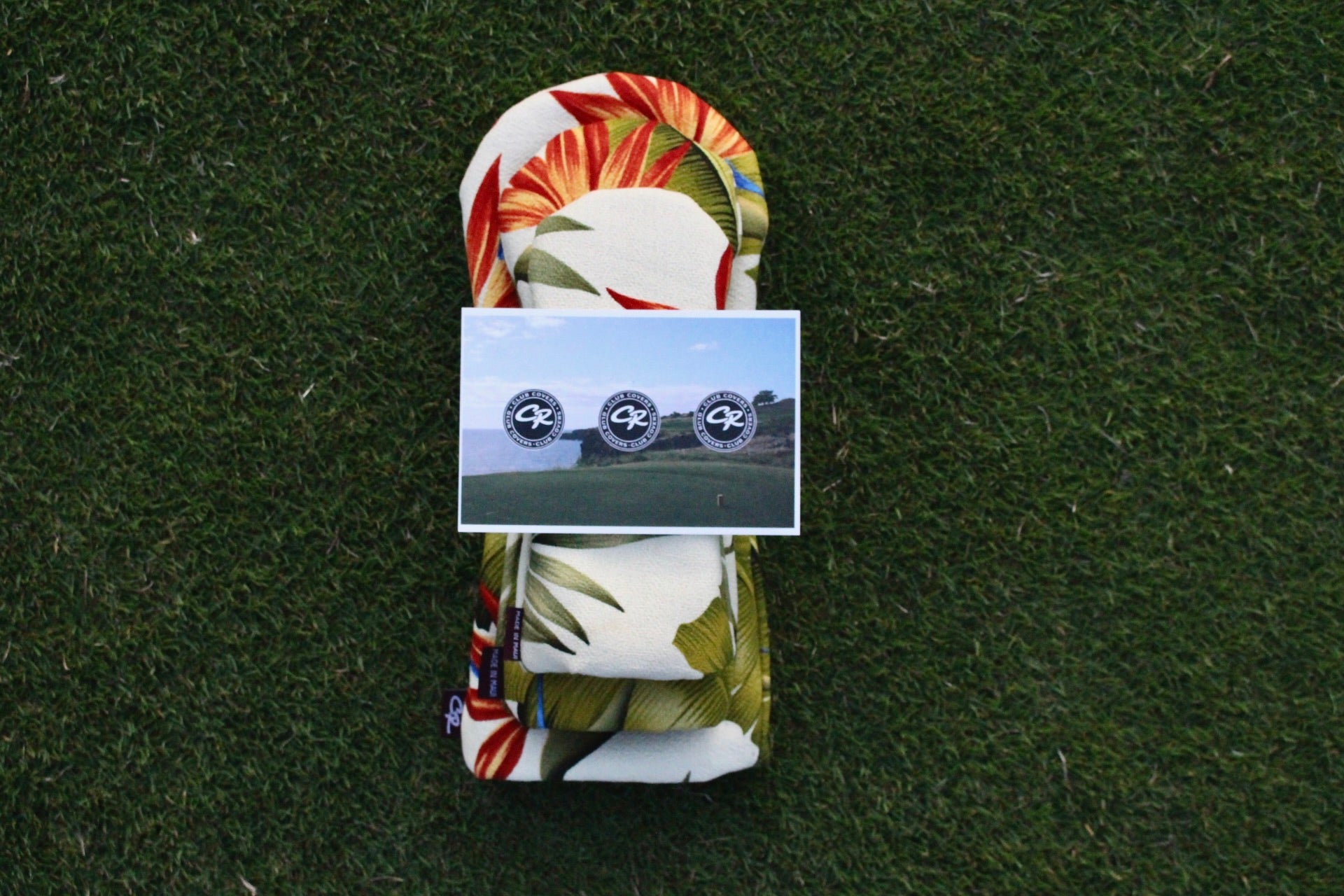 Birds of Paradise Set